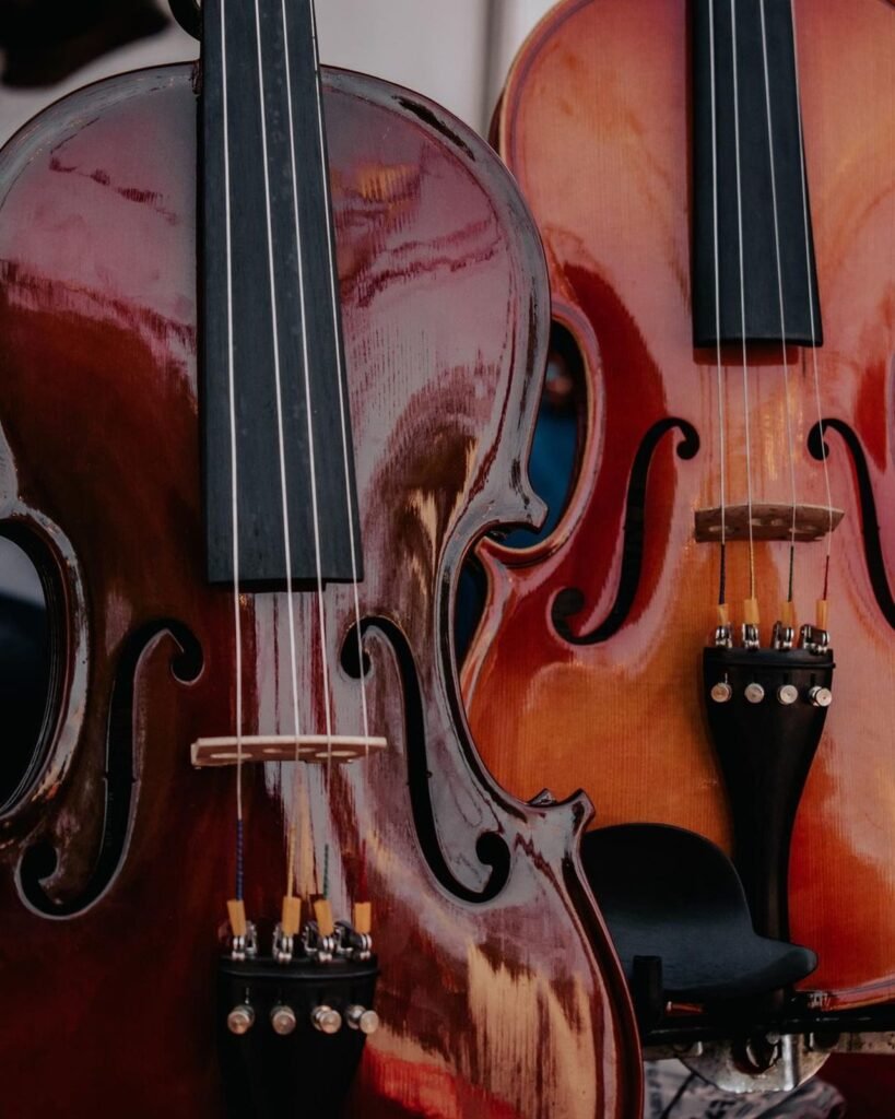 Manual básico: Cómo cuidar y limpiar tu primer violín